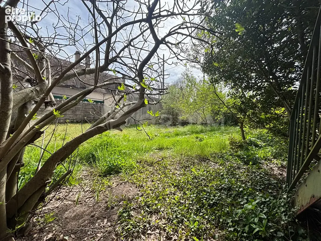 Maison Tonnerre - photo 16
