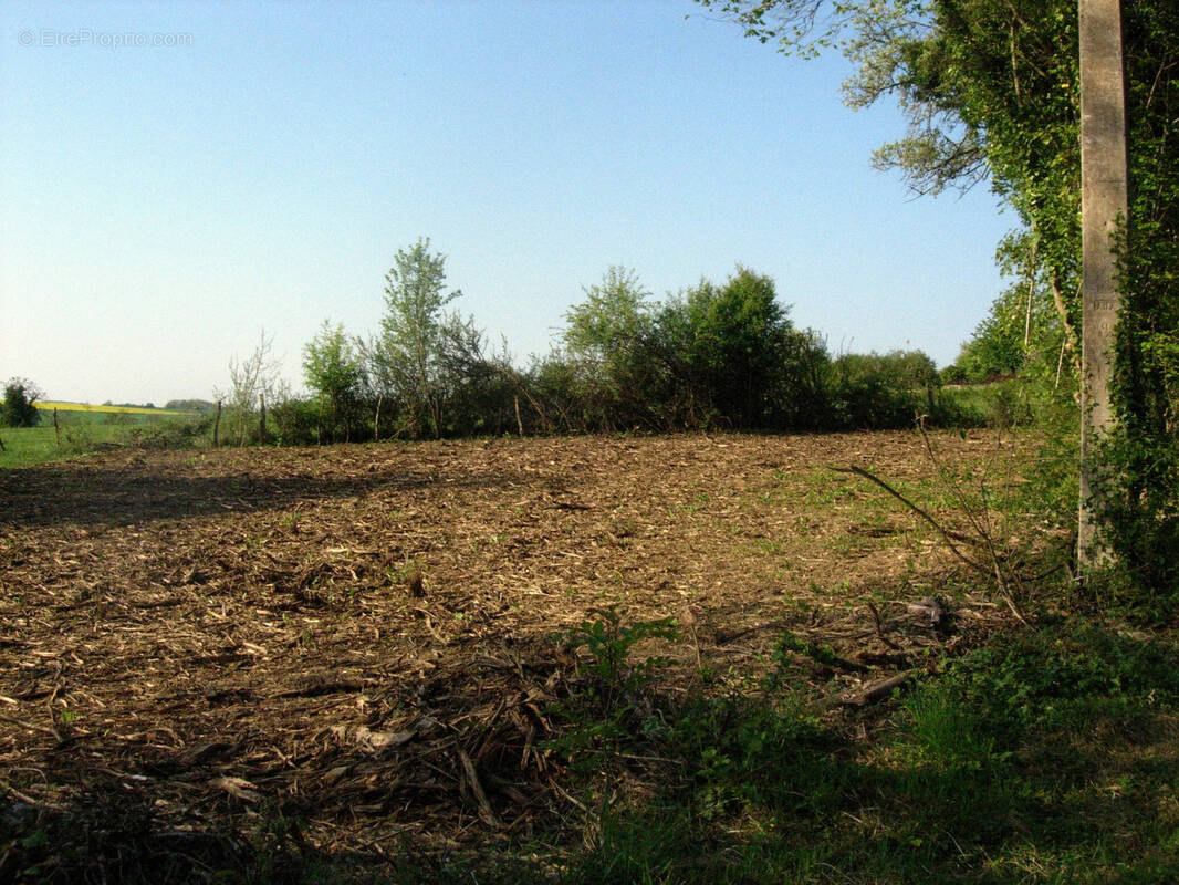 Terrain à FOISSY-LES-VEZELAY