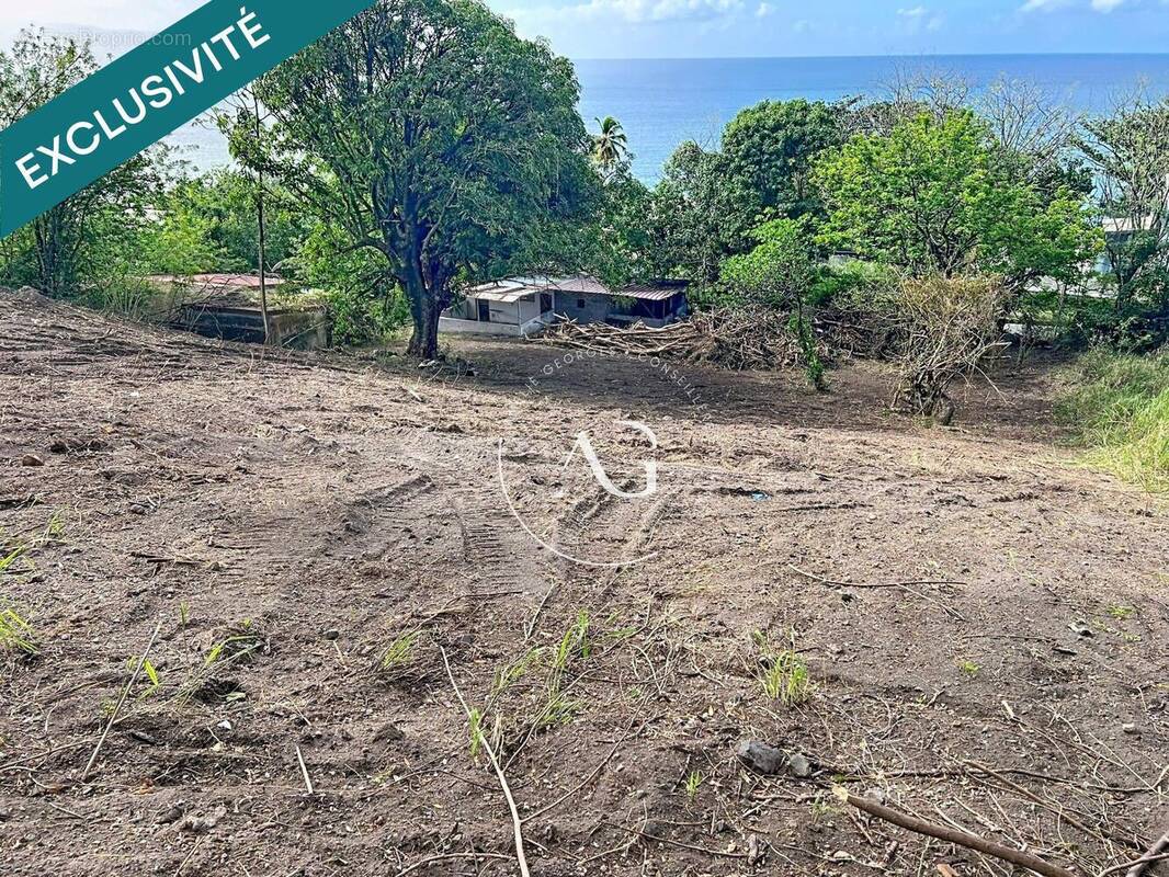 Photo 1 - Terrain à SAINT-PIERRE