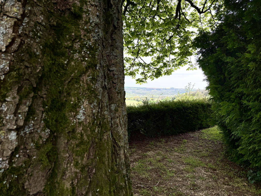 Maison à CHAMOUILLE