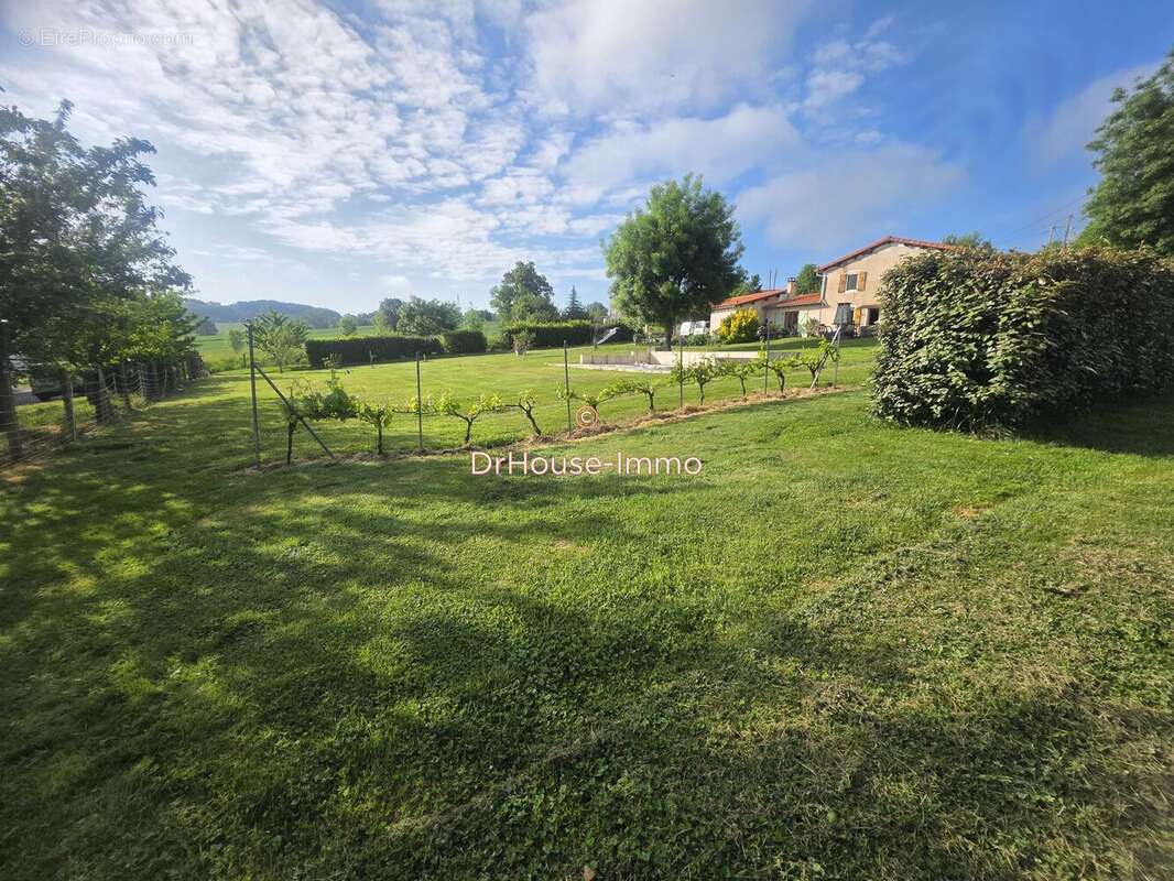 Terrain 811 m² à Tecou  - photo 8