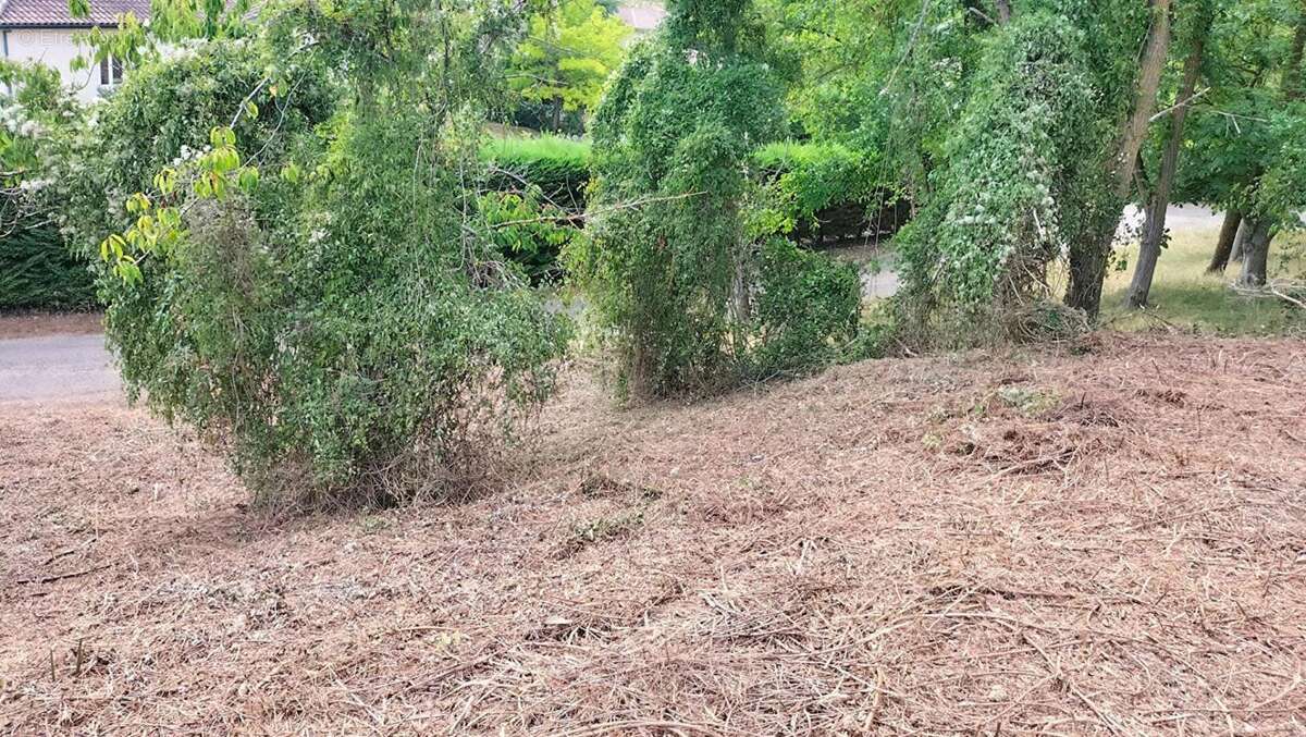 Terrain constructible Puycasquier(32120) 603m² - photo 4
