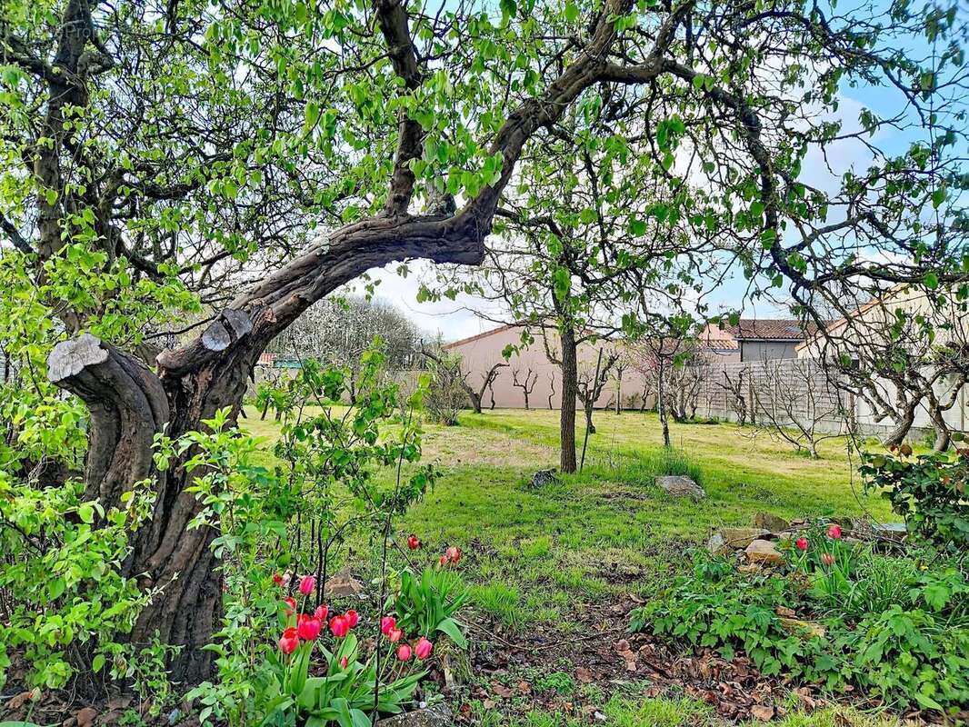 Photo 2 - Maison à SAINT-LEGER-SOUS-CHOLET