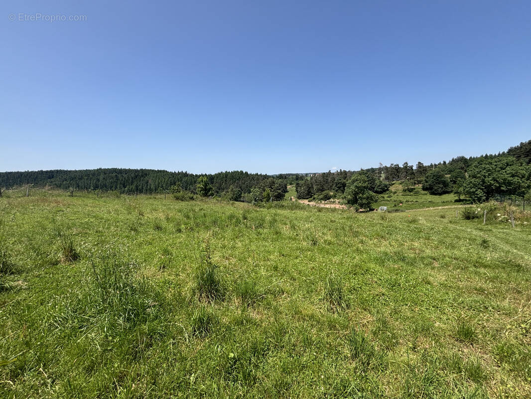 Terrain à SAINT-PAL-DE-MONS