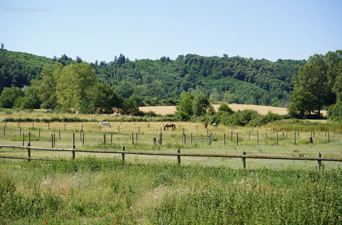 Haras du mas de meyrie - photo 20