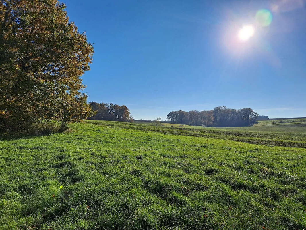 À Vendre : Charmante Propriété à rénover dans l'Entre-Deux-Mers - Réf 97 - photo 15