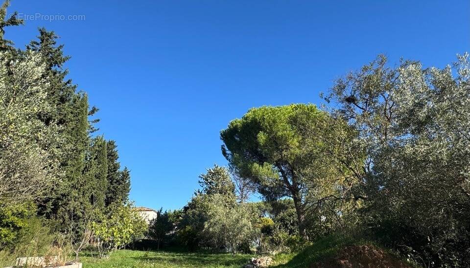 Terrain à EGUILLES