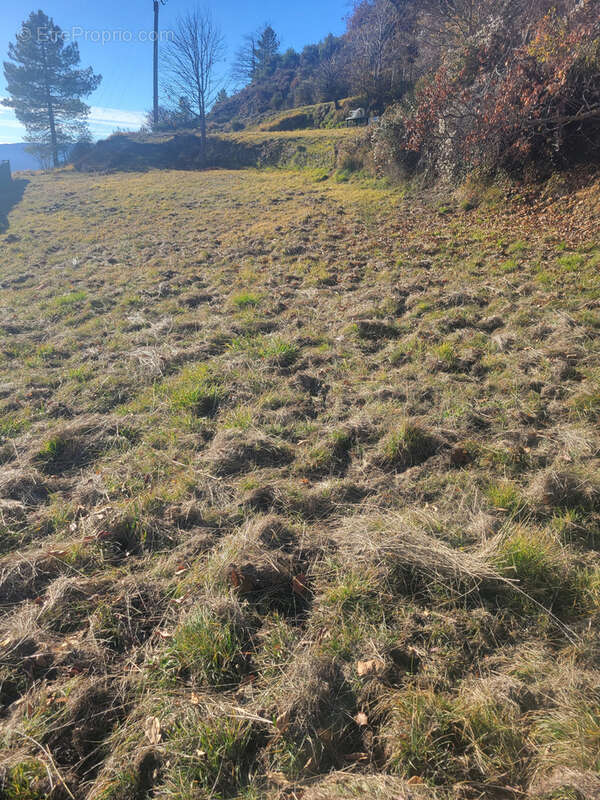Terrain plat viabilisé, vue dégagèe , Vallée de l'Esteron. - photo 5
