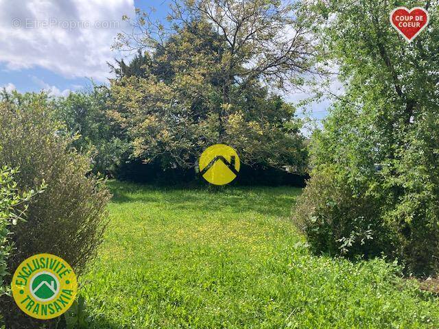 Terrain à LES AIX-D'ANGILLON