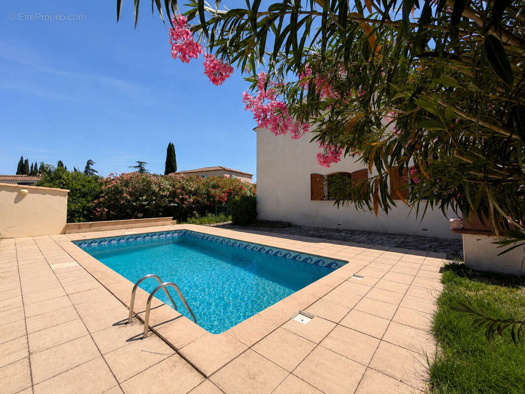 Saint-gély-du-fesc   maison familiale de 176 m2 avec piscine, double habitation et garage - photo 2