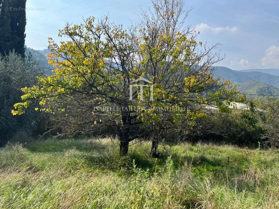 Terrain à L'ESCARENE