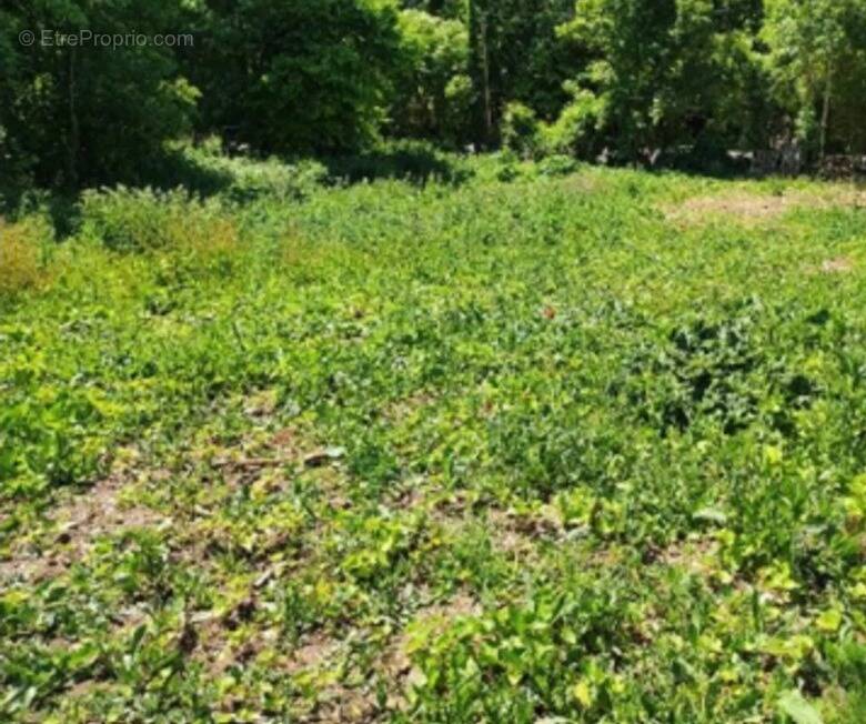 Terrain à AUNAY-SOUS-AUNEAU