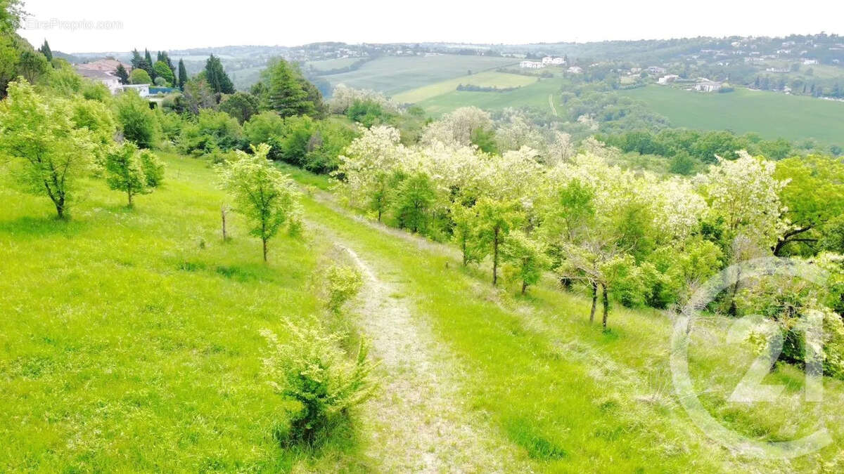 Terrain à TOULOUSE