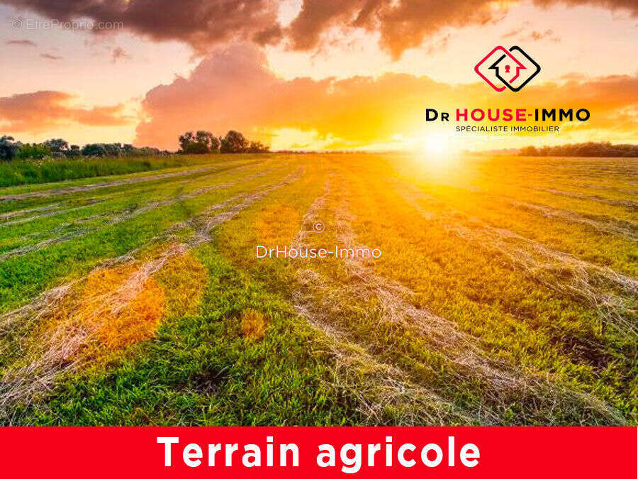 Terrain à LE TEMPLE-SUR-LOT