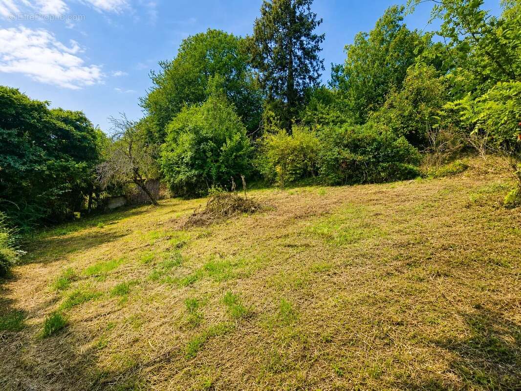 Ensemble de trois parcelles d’une superficie totale de 4 780 m² - photo 2
