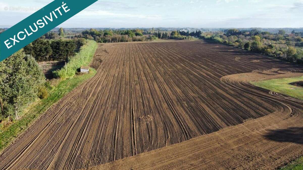 Photo 5 - Commerce à VILLELONGUE-DE-LA-SALANQUE