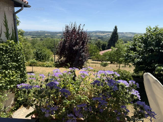 Moiré -Maison familiale avec piscine -vue exceptionnelle- - photo 3