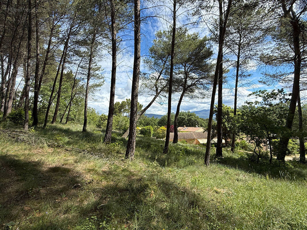 Terrain à LA ROQUE-D'ANTHERON