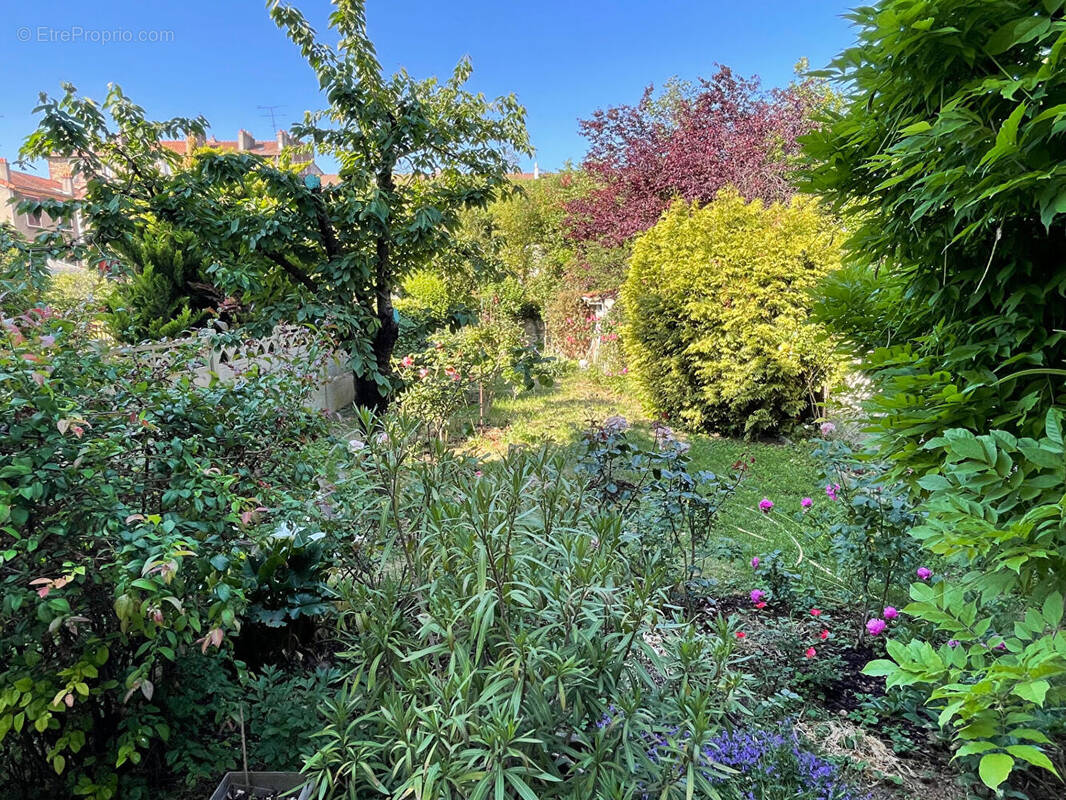 Maison à MAISONS-ALFORT