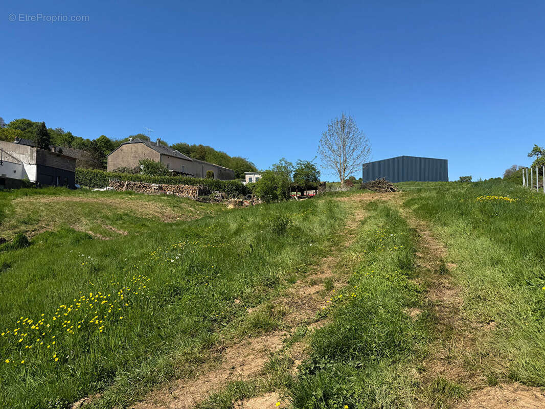 Terrain à MERSCHWEILLER