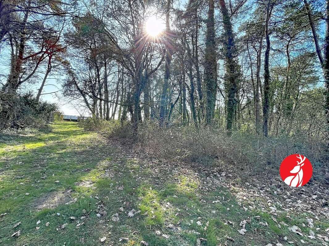 Maison à FONTAINEBLEAU