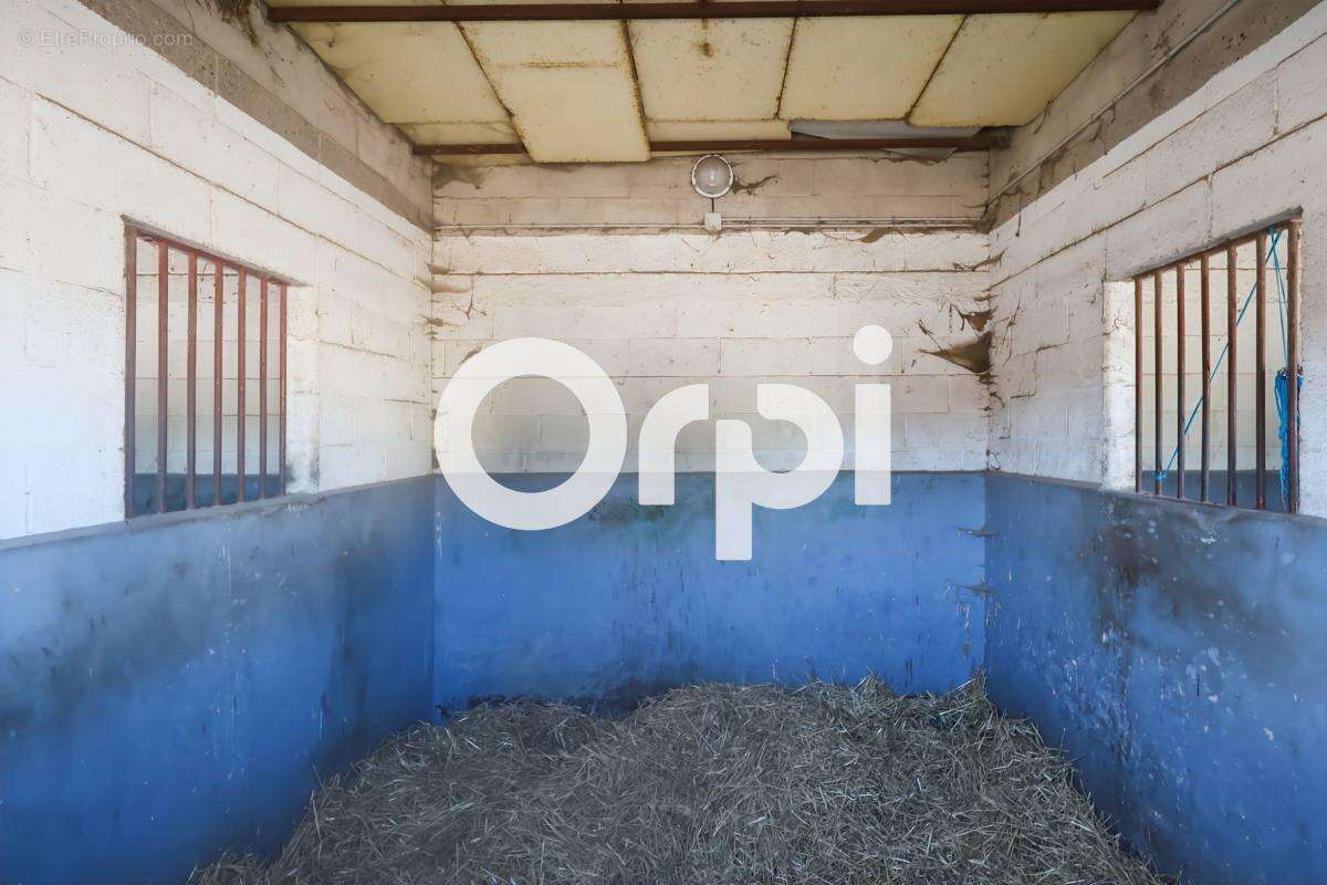 Domaine équestre de 5,5 hectares avec infrastructures de qualité à Cappelle-la-Grande - photo 8