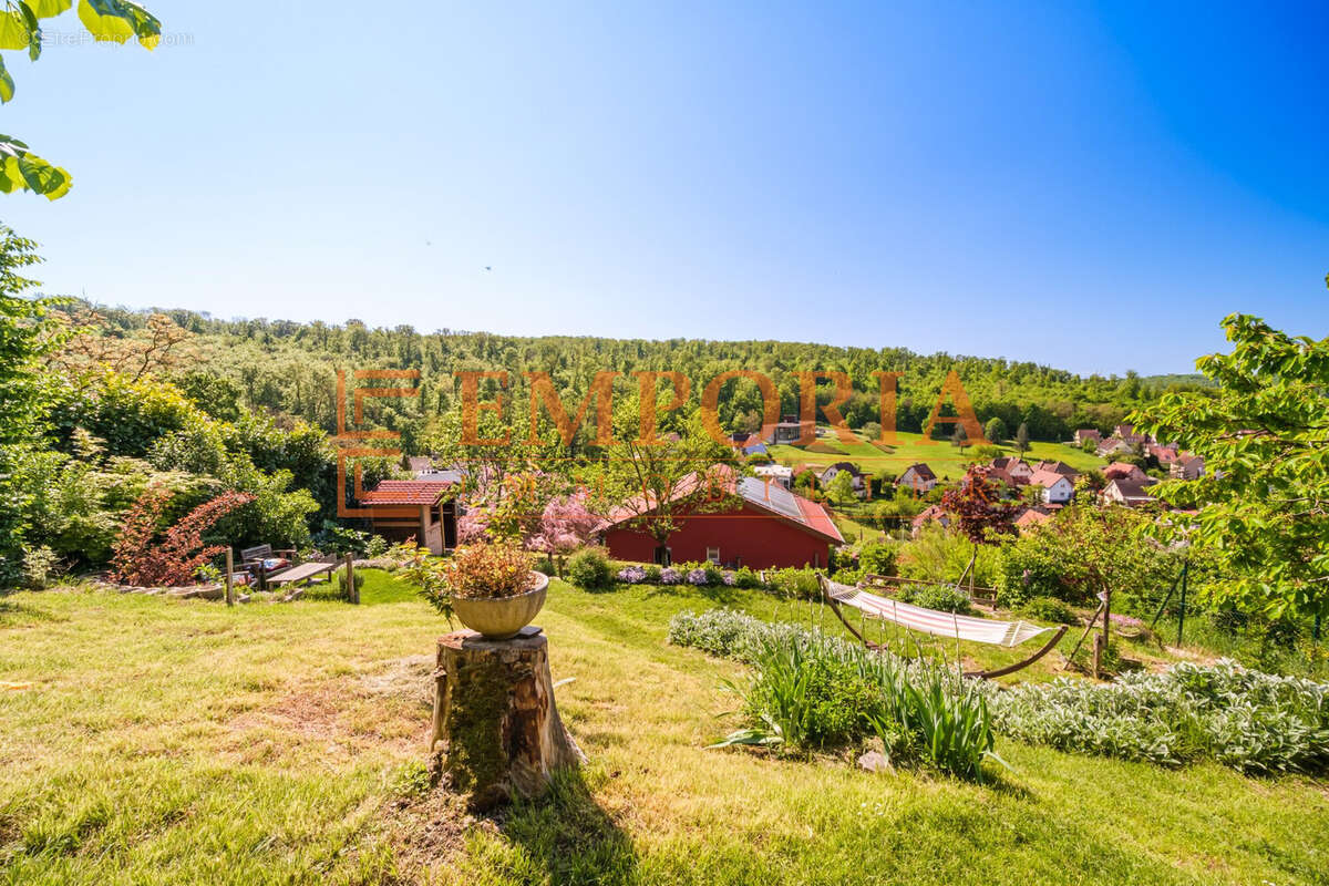 Maison à ILLFURTH