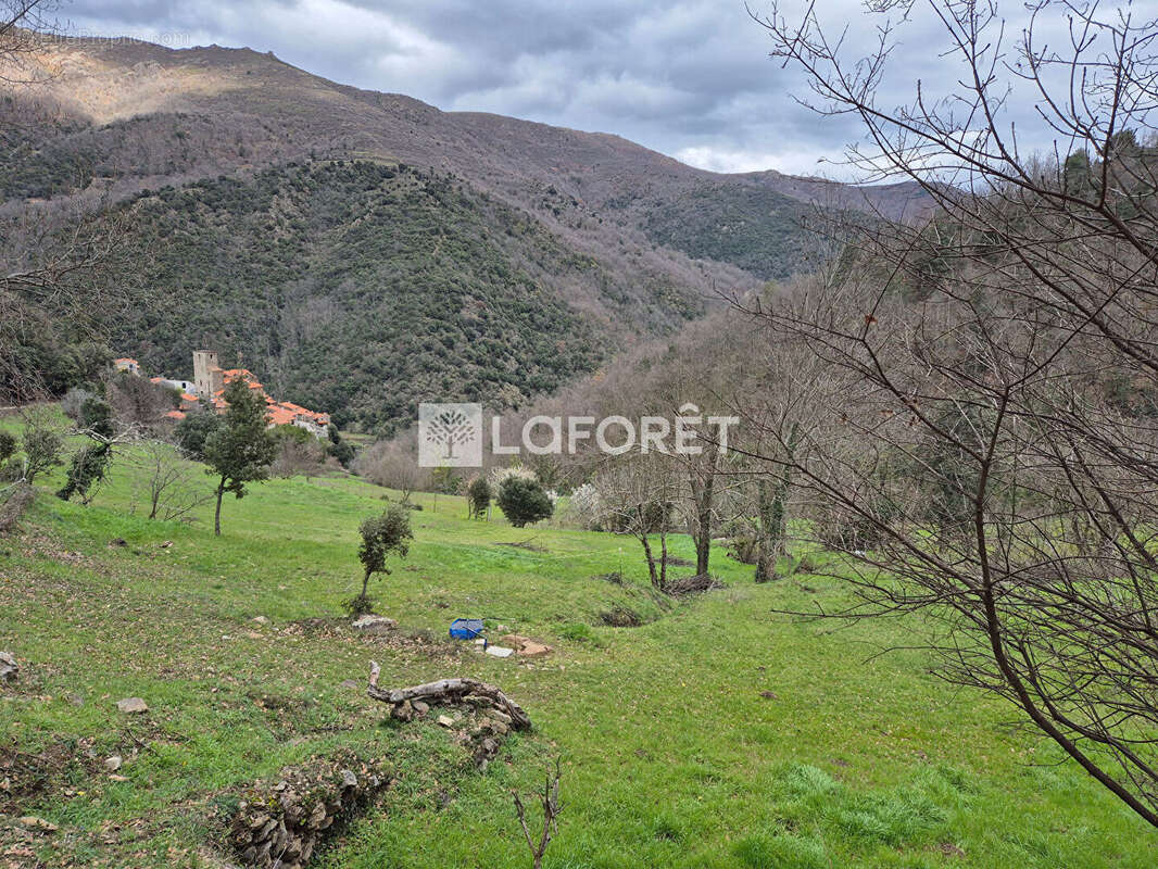 Maison à BAILLESTAVY