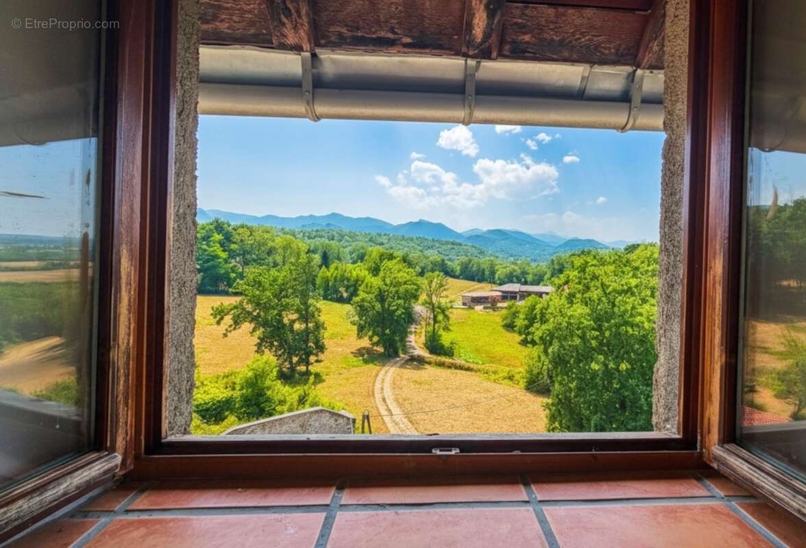 Propriete à vendre 8 pièces MONTEGUT (65) - photo 3