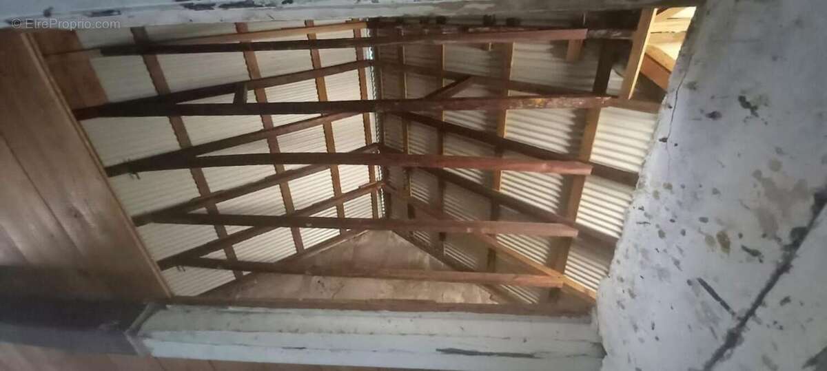 Commerce à BASSE-TERRE