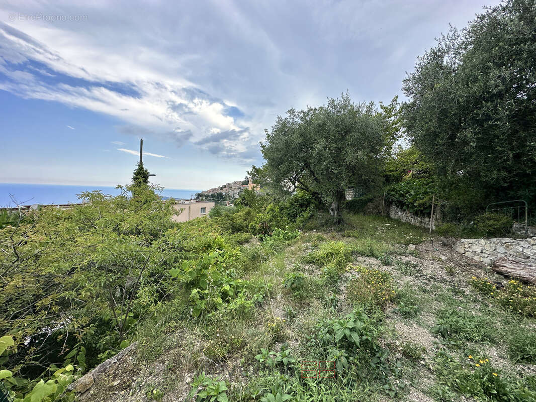 Terrain à EZE