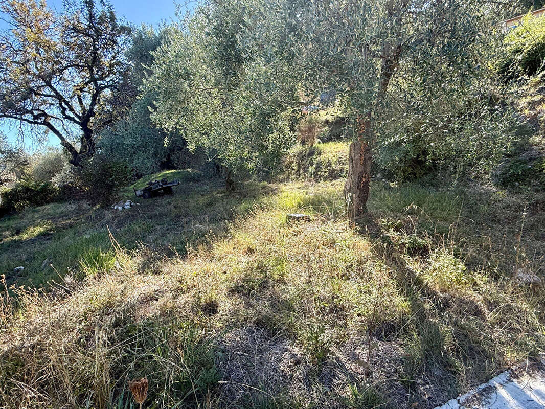 Terrain à GATTIERES