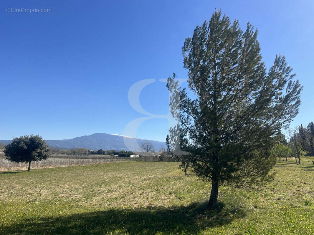Maison à CARPENTRAS