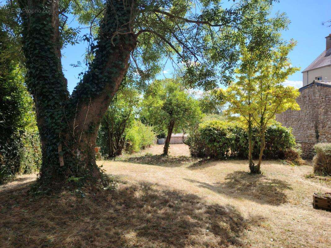 Picauville belle maison de bourg ideale ppied 5 ch - photo 19