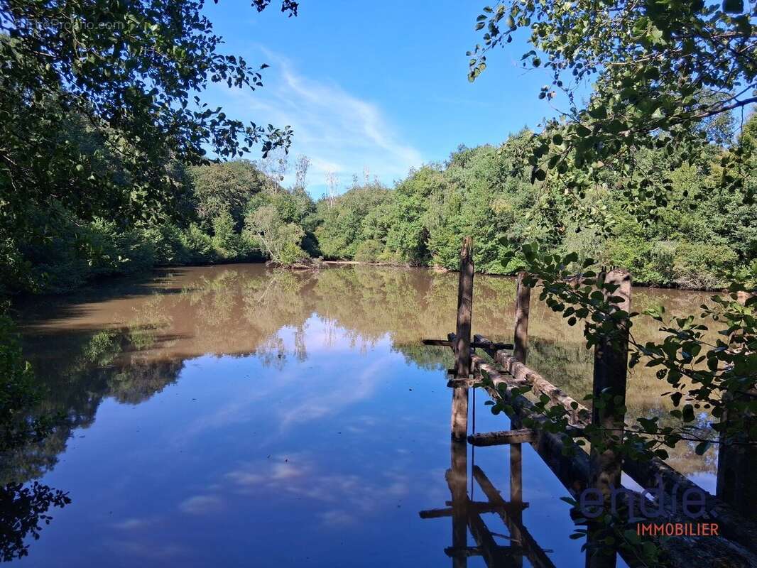 Terrain avec etang - photo 3