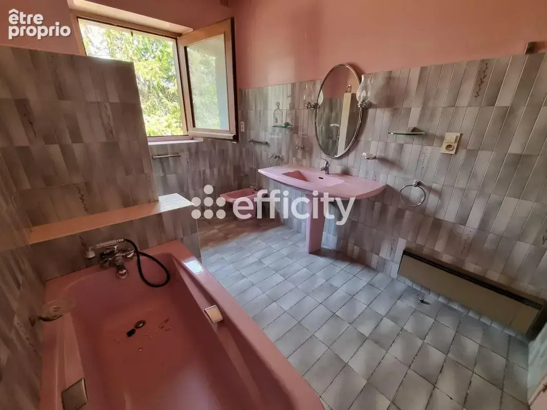 Maison 272 m² à Le Malzieu-Ville  - photo 13