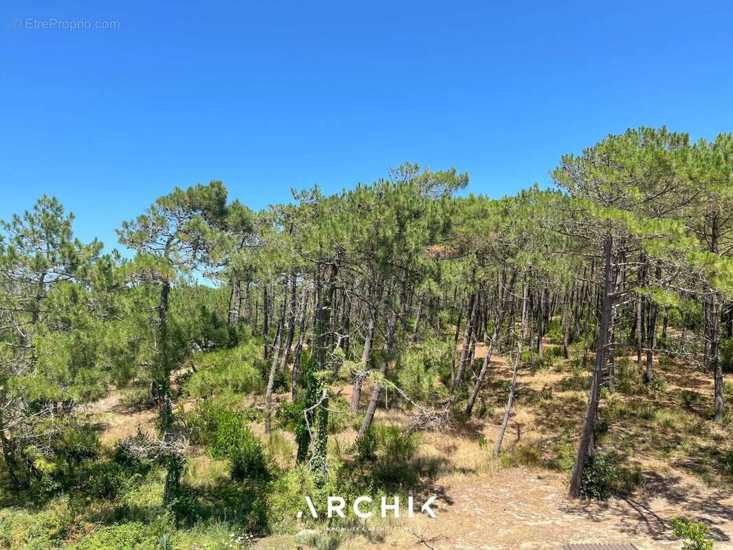 Appartement à LEGE-CAP-FERRET