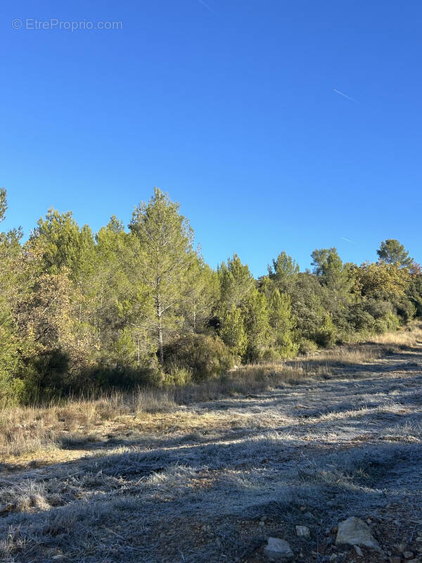 Terrain à LE VAL
