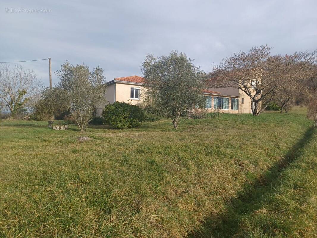 Photo 1 - Maison à ALBI