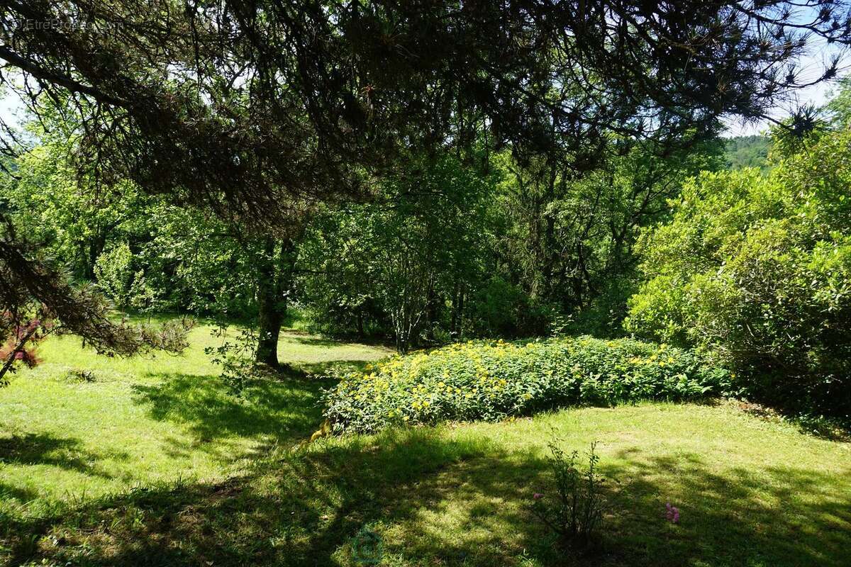 Maison à SAINT-JEAN-DE-COLE