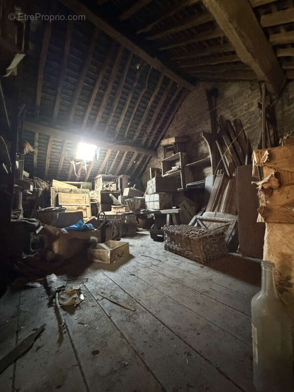 LA FERTE MACE, centre ville - photo 11