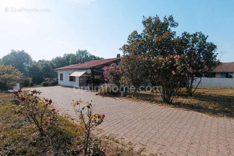 Maison 6 pièces, terrain 8000 m² - photo 3