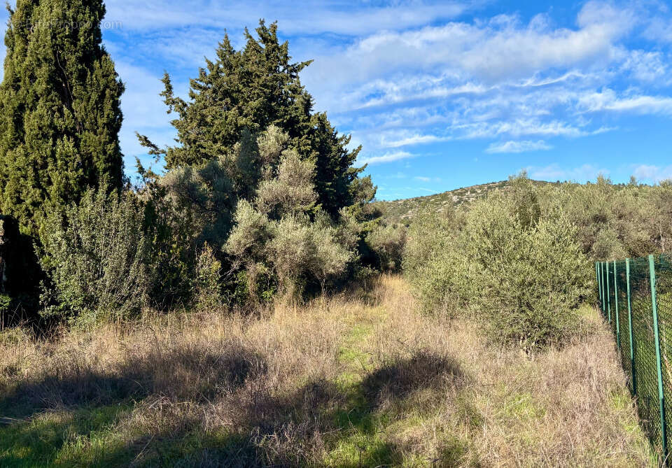 Terrain à SAINT-JEAN-DE-FOS