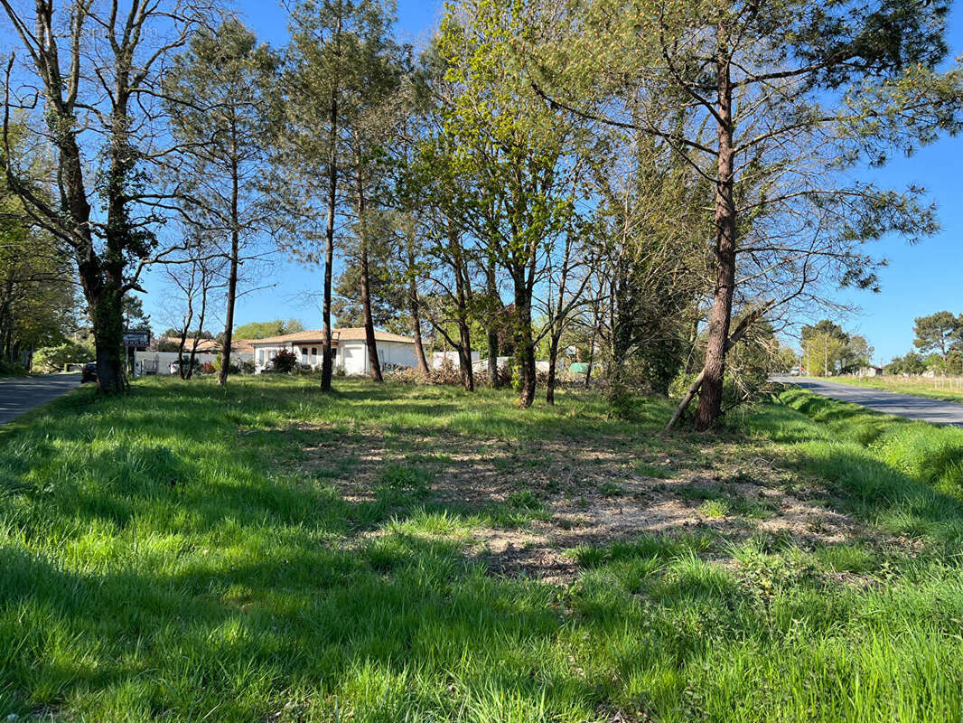 Terrain à LESPARRE-MEDOC