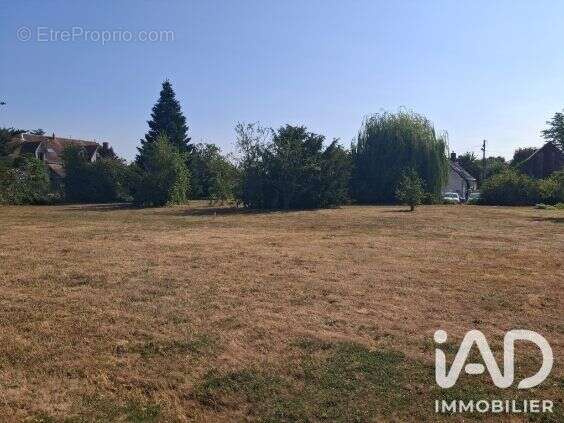 Terrain 1185 m² à Saint-Branchs  - photo 9