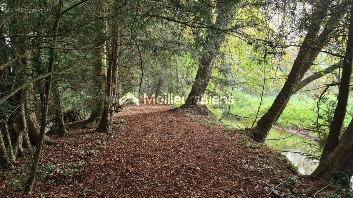 Terrain à MEZIDON-CANON