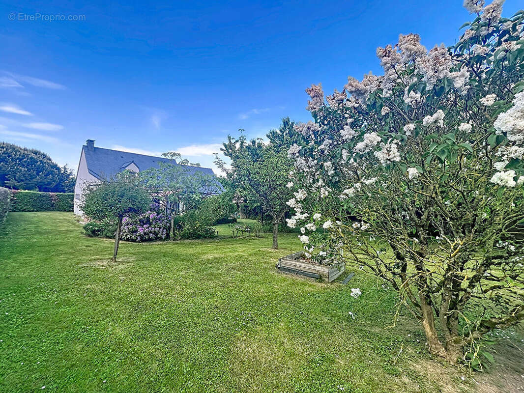 Maison 8 pièces sur un terrain de 1000 m² entièrement clos et arbore - photo 4