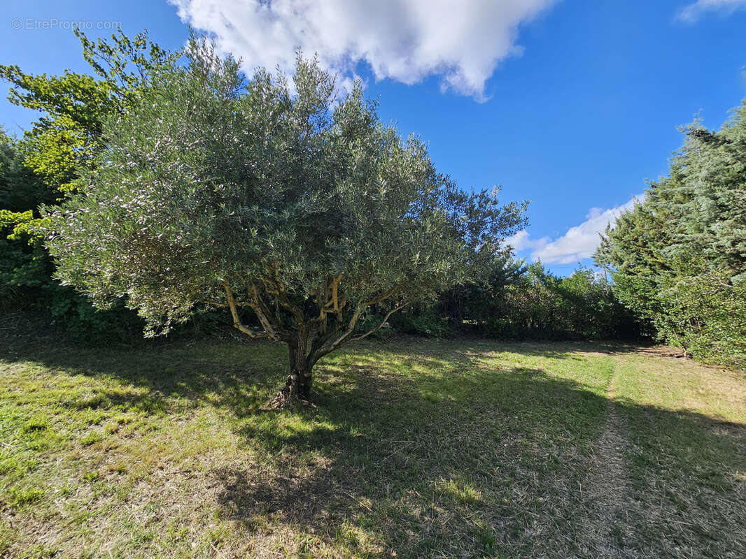 Apt en Luberon, belle maison de plain pied avec piscine et jardin - photo 9