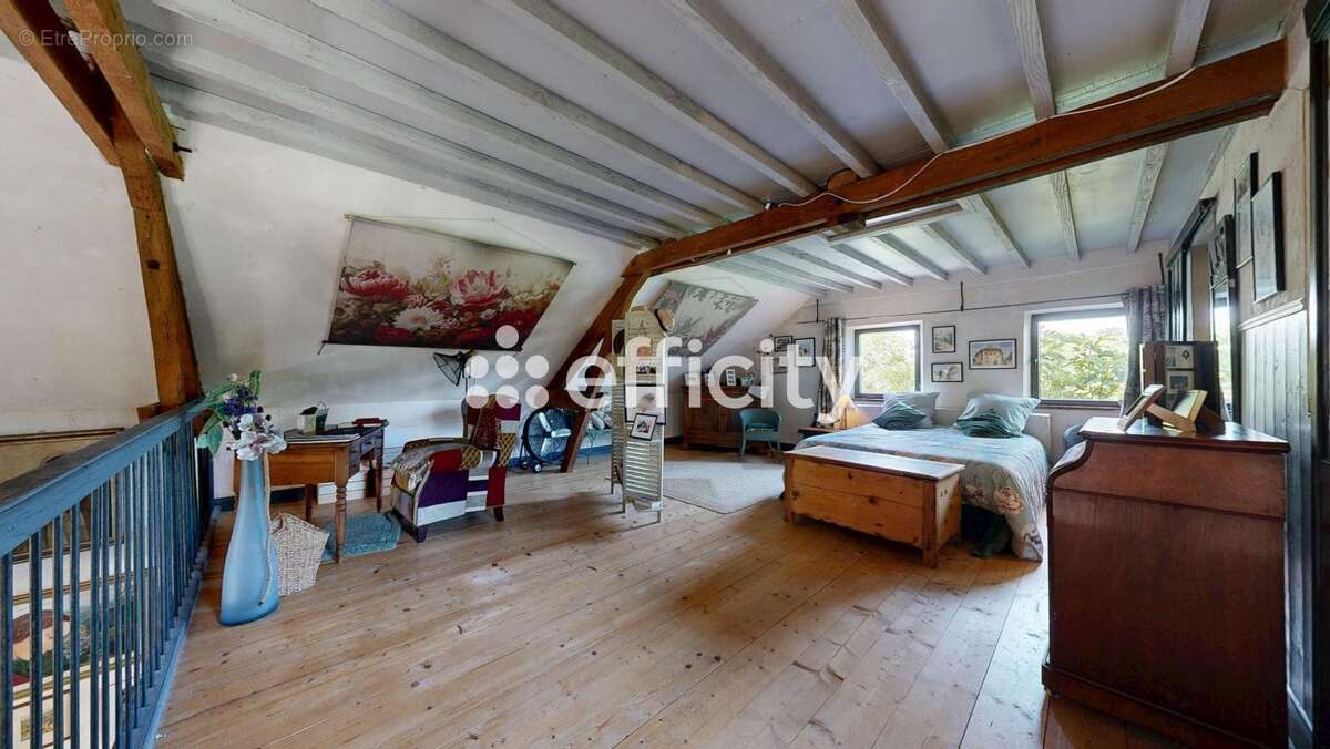 Maison 378 m² à Montet-Et-Bouxal  - photo 10
