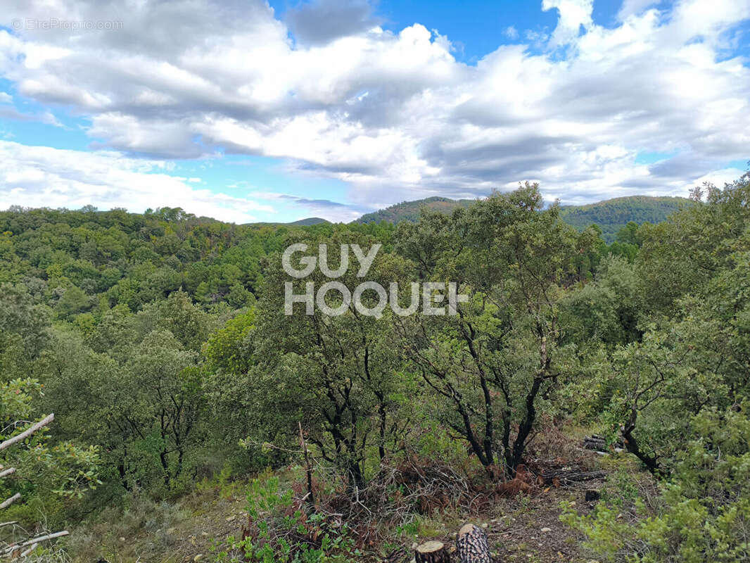 Terrain à SAINT-SEBASTIEN-D'AIGREFEUILLE